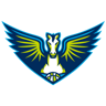 Dallas Wings